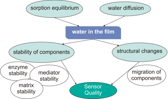 Influence of Water Sorption